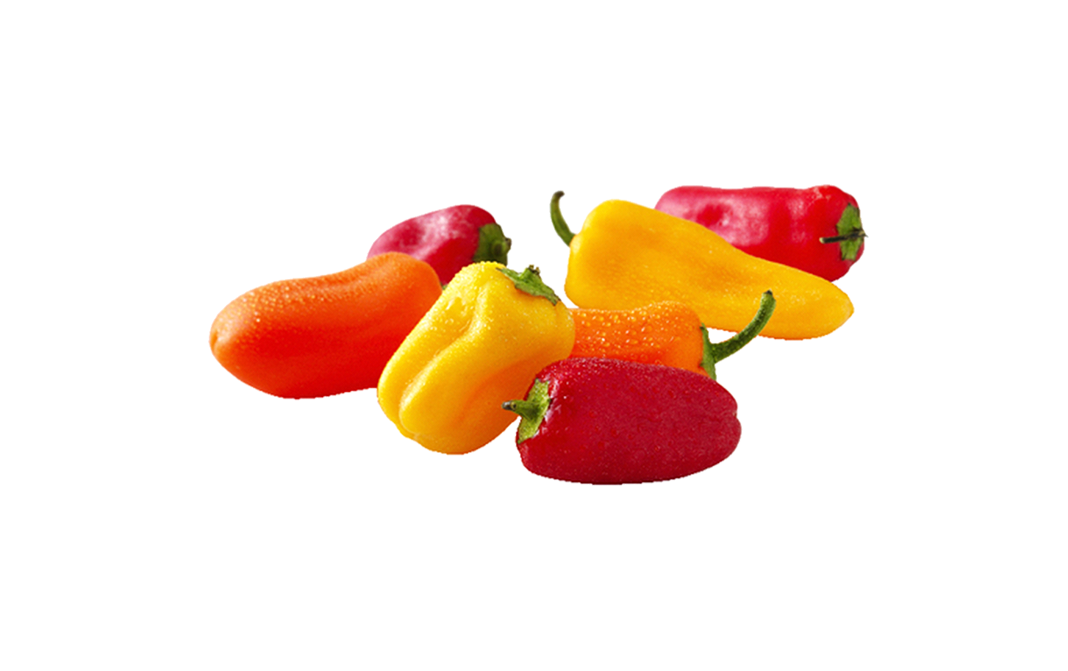Simply Fresh Fruity Pepper    Box  450 grams